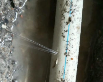 涧西卫生间测漏水多少钱
